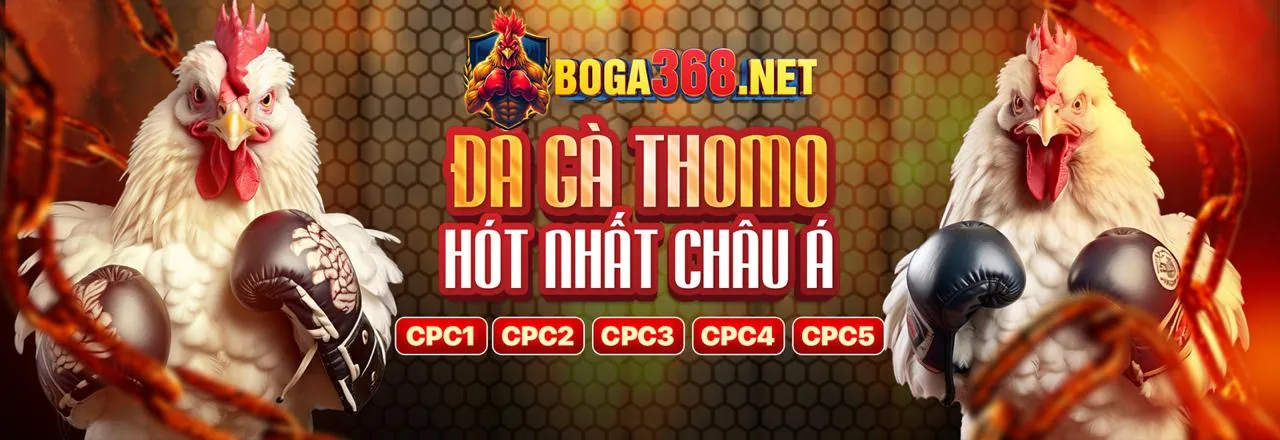 Đá gà trực tuyến f1680 web với trận đấu gay cấn